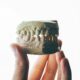 Dental implant model with crown on plaster jaw – dental implants Houston
