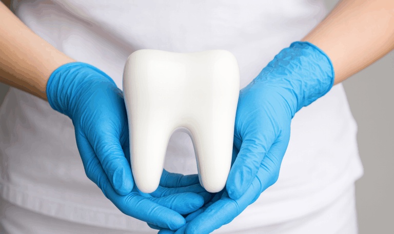 Oral biopsy Houston dental model held by dentist – Dr. Friedberg & Associates